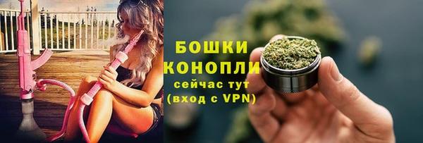 spice Богородск