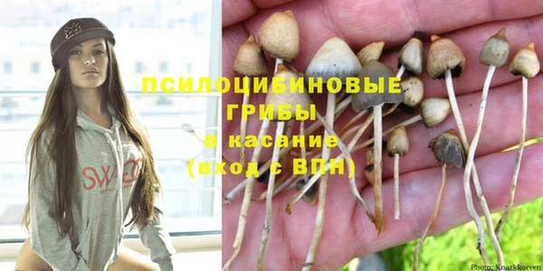спиды Чита