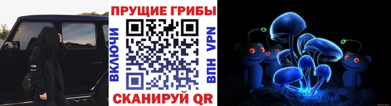 Галлюциногенные грибы мицелий Верхняя Пышма