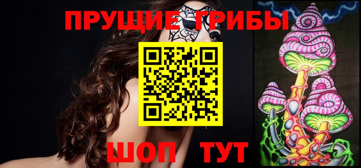 Псилоцибиновые грибы Cubensis Верхняя Пышма
