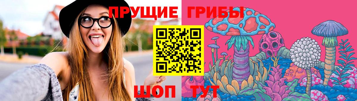 Галлюциногенные грибы MAGIC MUSHROOMS  Вход с VPN  где найти наркотики  Верхняя Пышма 